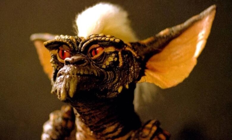 Image 1768235216934 Image 1768235216934