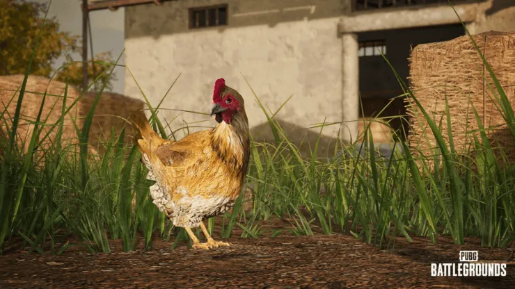 PUBG Battlegrounds: atualização 14.2 traz galinhas dedo-duro e novas armas