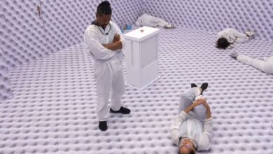 Limites do BBB 26: leitores criticam violência e desumanização como entretenimento