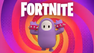 Fortnite Fall Guys Social Mode Cover Fortnite Fall Guys Social Mode Cover