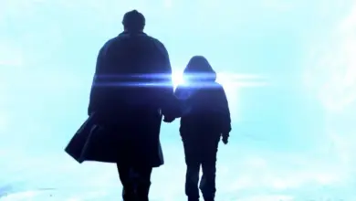 Fringe: 13 anos do final perfeito que ainda deixa saudade