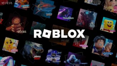 Article 1767992777257