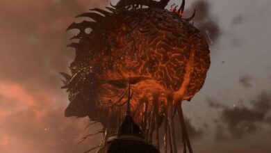 Article 1768003303633 Article 1768003303633