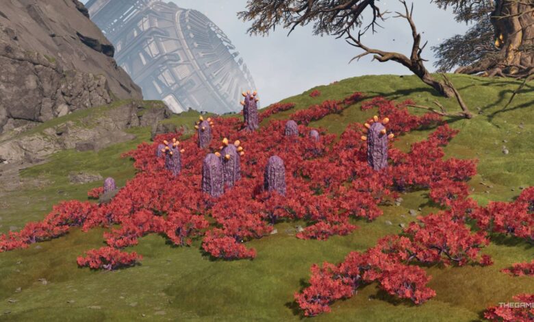 Article 1768066911587