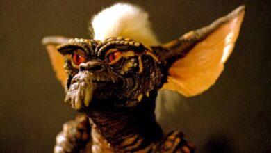 Article 1768233169472 Article 1768233169472