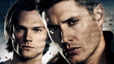 Article 1768238731134