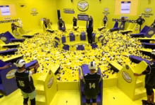 Article 1768442535321