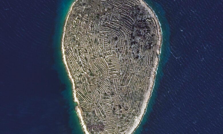 Serper 1769036014034 Serper 1769036014034