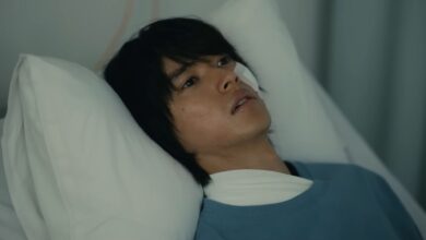 Serper 1769466674711