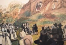 Serper 1769476775620