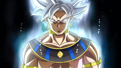 Serper 1769519125602