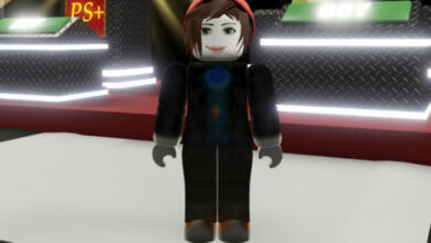 True or False: códigos de janeiro de 2026 dão giros de habilidade grátis